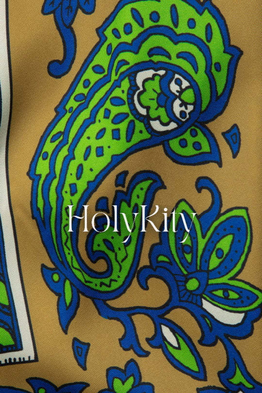 Paisley Print Long Sleeve Shirt